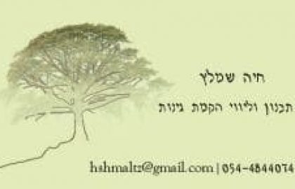 חיה שמלץ: דרך פעולה חדשה כעצמאית